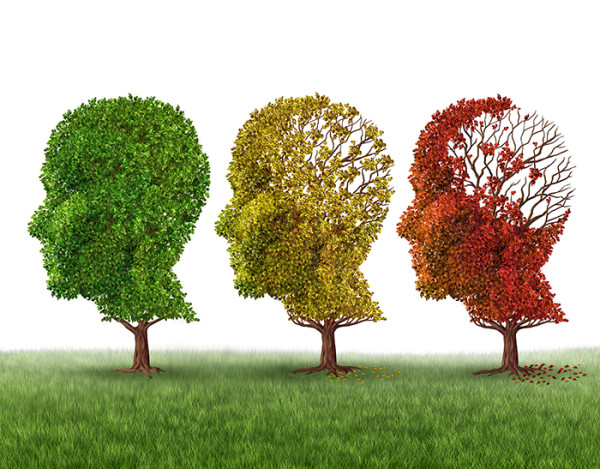 The Unfolding Journey: Understanding the Stages of Dementia