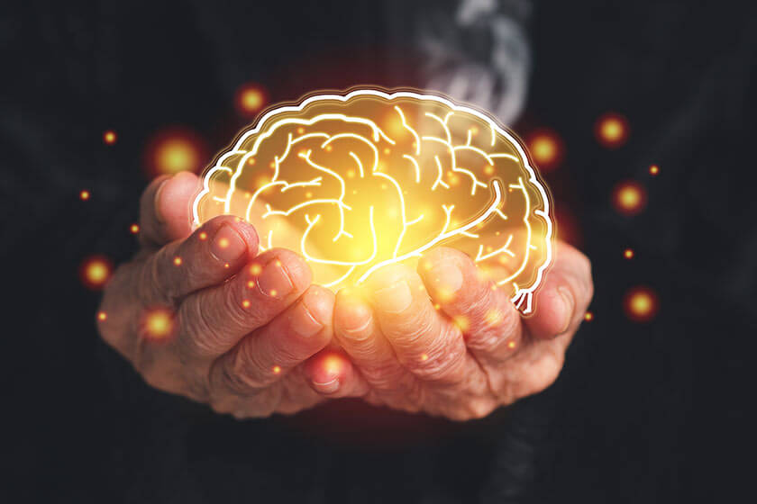 Strengthening the Citadel of the Mind: Preventative Measures for Prolonged Memory Loss